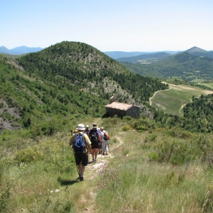 hikers