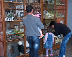 Visite en famille au Musée Gassendi