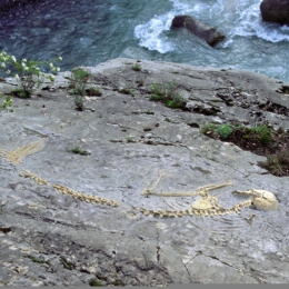 4.-Salle-dAndy-Goldsworthy